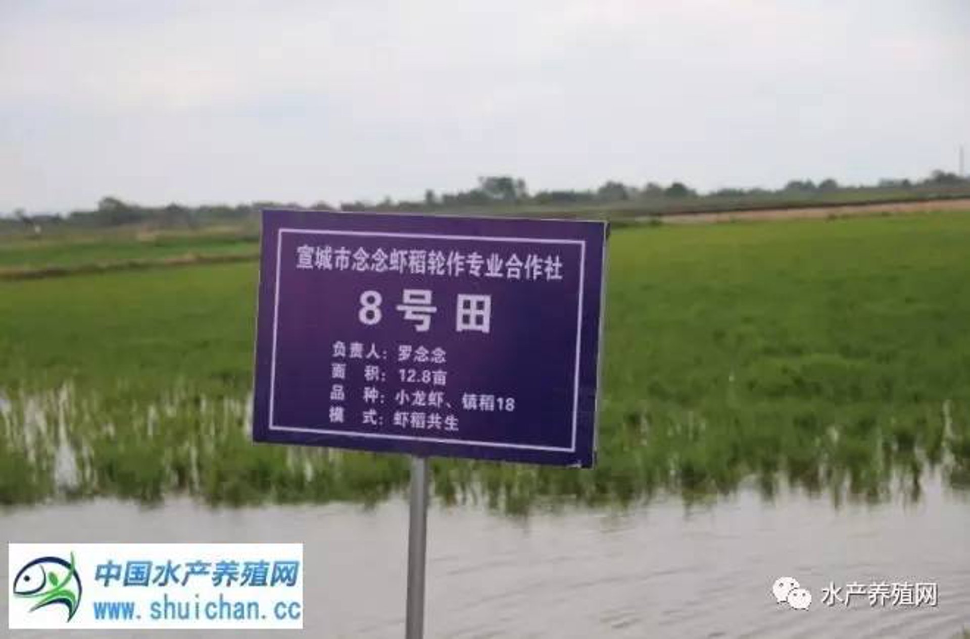汇仁有机肥